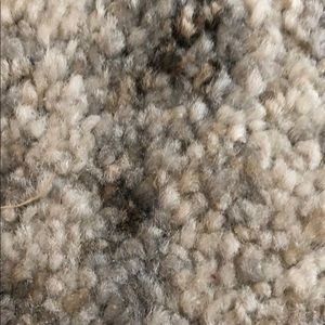 Meet your Posher, Marisa